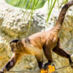 Family Adventure Day: Ziplining, Cenote Swim, Waterfall & Monkeys - Final Thoughts: Is This Tour Worth It?