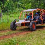 Family Buggy Adventure in Punta Cana - Is This Tour Worth the Price?