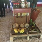 Family, Buggy Adventures, Tours, Macao Beach. Lowest Price. - Who Would Enjoy This Tour?