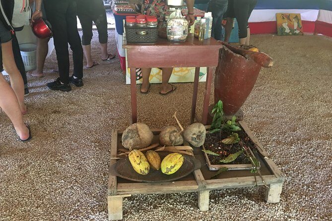 Family, Buggy Adventures, Tours, Macao Beach. Lowest Price. - Who Would Enjoy This Tour?