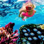 Family Fun-Snorkeling with Lunch Stop from Montego Bay - A Balanced View: Considerations