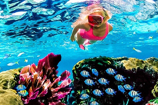 Family Fun-Snorkeling with Lunch Stop from Montego Bay - A Balanced View: Considerations