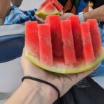 Family Package Private Fishing and Snorkeling - What the Reviews Say: Authentic Feedback