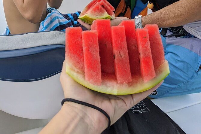 Family Package Private Fishing and Snorkeling - What the Reviews Say: Authentic Feedback