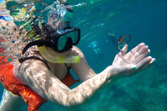 Family Snorkeling Adventure Punta Cana - Practical Tips for Your Trip