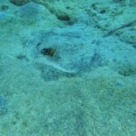 Family Snorkeling Tour - Final Thoughts