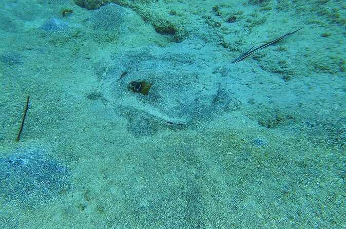 Family Snorkeling Tour - Final Thoughts