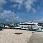 Famous East Island UTV Tour - Authentic Experiences & Real Guest Feedback