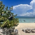 Fantastic Catalina island, beach and depth - What’s Included and What’s Not