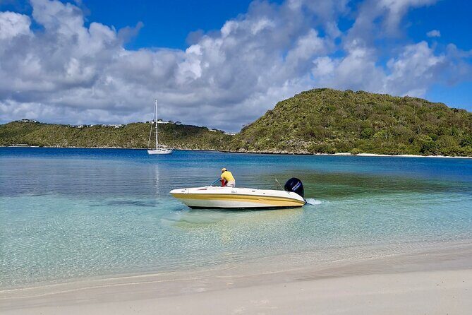 FANTASTIC Green Island and Sea Turtles - Half Day share boat trip - Authentic Experiences and Real Guest Feedback