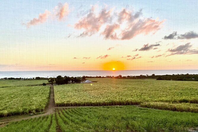 Farm to Bottle Tour at Prosperity Farm Distillery - Why This Tour Is a Great Fit