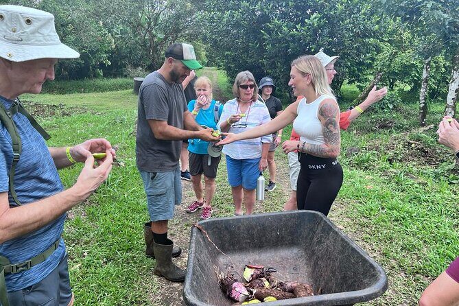 Farm to Table Food Experience - What to Expect: A Closer Look