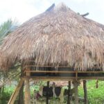 Fatbike tour in Lençóis Maranhenses - A Deep Dive into the Experience