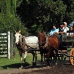 Fiesta Gaucha en Estancia - Day Ranch Gaucho Barbeque - Who Will Love This Tour?