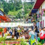 Filandia and Salento Coffee Towns Tour - Detailed Breakdown of the Experience