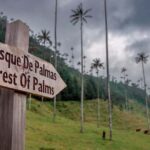 Filandia, Salento and Cocora Valley Tour - Why This Tour Delivers Value