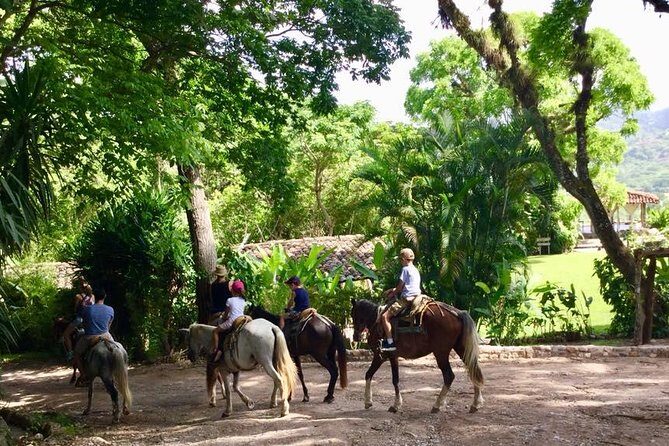 Finca San Lucas, Copan - Who Should Book This Tour?