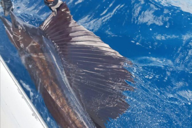 Fishing Charter 8 Hours - The Sum Up: Is This Bonaire Fishing Charter Worth It?