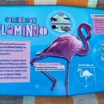 Flamingo March & Pirates Adventure Tour Nassau - The Sum Up