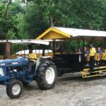 Flavors of Jamaica Food Tour from Runaway Bay - Who Should Consider This Tour?