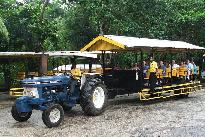 Flavors of Jamaica Food Tour from Runaway Bay - Who Should Consider This Tour?