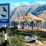 Flight of the condor - Practical Details and Tips