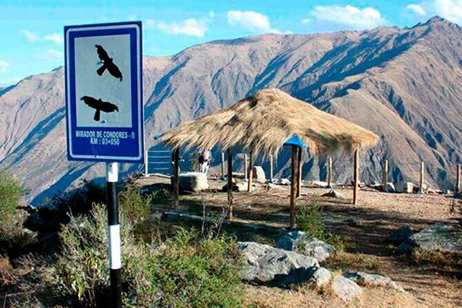 Flight of the condor - Practical Details and Tips