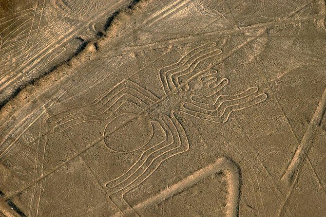 Flight over the Nazca Lines from Nazca (35 min) - The Aircraft and Seating Arrangement