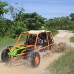 Flintstones Buggy Adventure from Punta Cana - What to Consider Before Booking