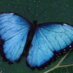 Flora & Fauna Garden at Danaus EcoCenter - Why This Tour Works Well for Travelers