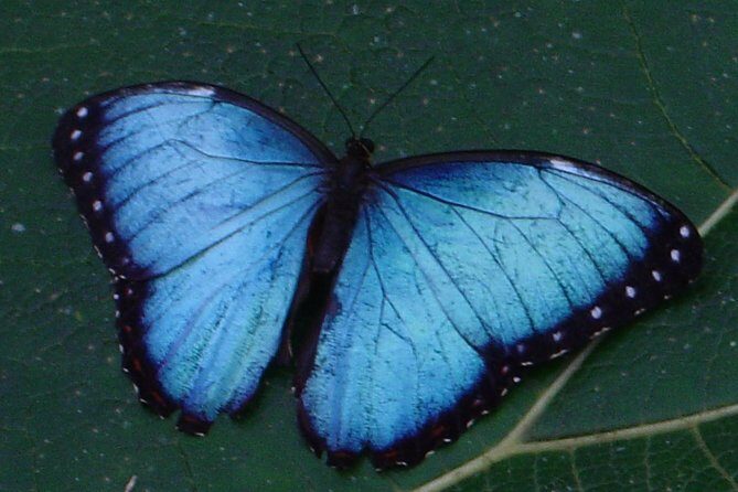 Flora & Fauna Garden at Danaus EcoCenter - Why This Tour Works Well for Travelers