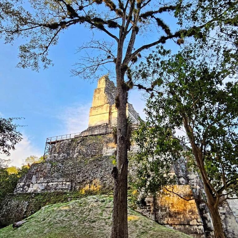 Flores: 1-Day Tikal Tour Private Service From your Hotel - Exploring the Experience in Detail