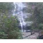 Floresta da Tijuca - Final Thoughts