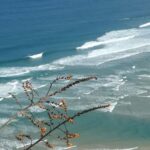 Florianópolis: Guarda do Embau Day Trip with Pickup - The Breakdown of the Tour