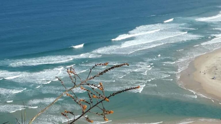 Florianópolis: Guarda do Embau Day Trip with Pickup - The Breakdown of the Tour