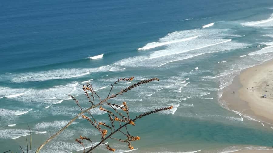 Florianópolis: Guarda do Embau Day Trip with Pickup - The Breakdown of the Tour