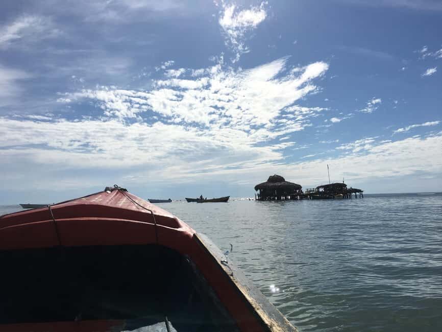 Floyds Pelican Bar, Ys Falls and Black River Safari Tour - Exploring Jamaica with This Full-Day Tour