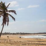 Fortaleza: Beach Trip with Pickup, Swimming, and Activities - The Beach and Infrastructure