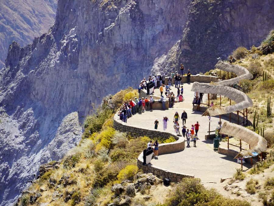 From Arequipa: 1 Day Tour to the Colca Canyon + Breakfast - What’s Included and What Isn’t?