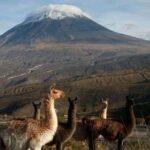 From Arequipa: 2-day excursion to Misti Volcano - An in-depth look at the Misti Volcano trek
