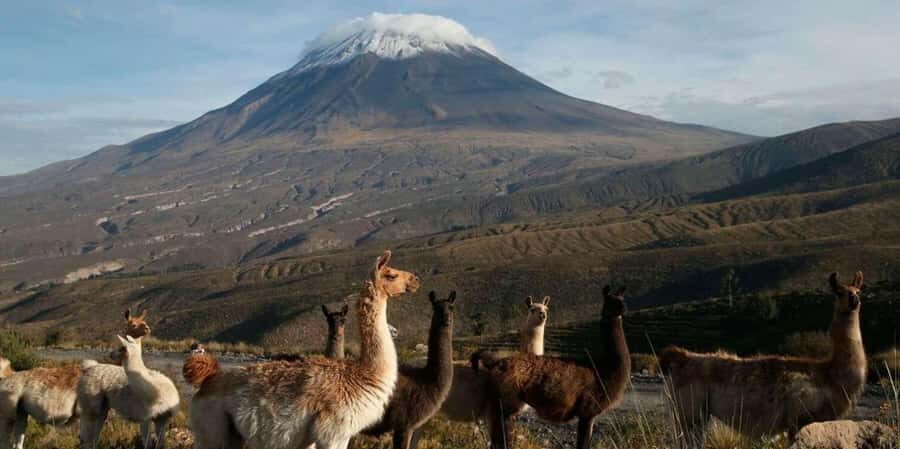 From Arequipa: 2-day excursion to Misti Volcano - An in-depth look at the Misti Volcano trek
