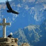 From Arequipa: Colca Canyon Day Trip with Buffet Meals - Who Would Love This Tour?