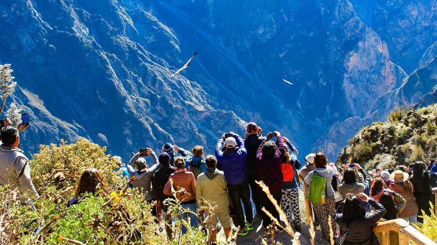 From Arequipa: Colca Canyon Day Trip with Transfer to Puno - Key Points