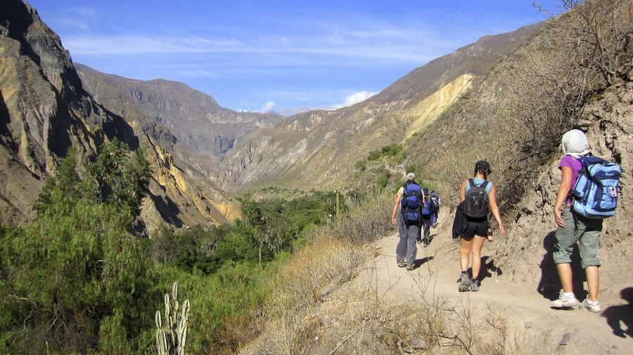 From Arequipa: Colca Canyon Excursion 2D with End in Puno - Who Will Love This Tour?