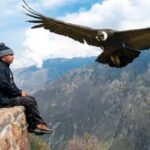 From Arequipa: Excursion to the Colca Canyon ending in Puno - Practical Details