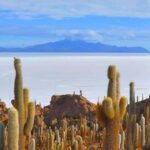From Arequipa: Excursion to the Salinas Lagoon || Full Day | - What the Reviews Say
