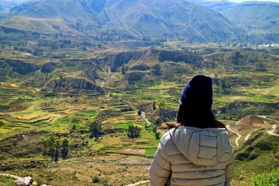 From Arequipa: Full-Day to Colca Canyon - Who Will Love This Tour?