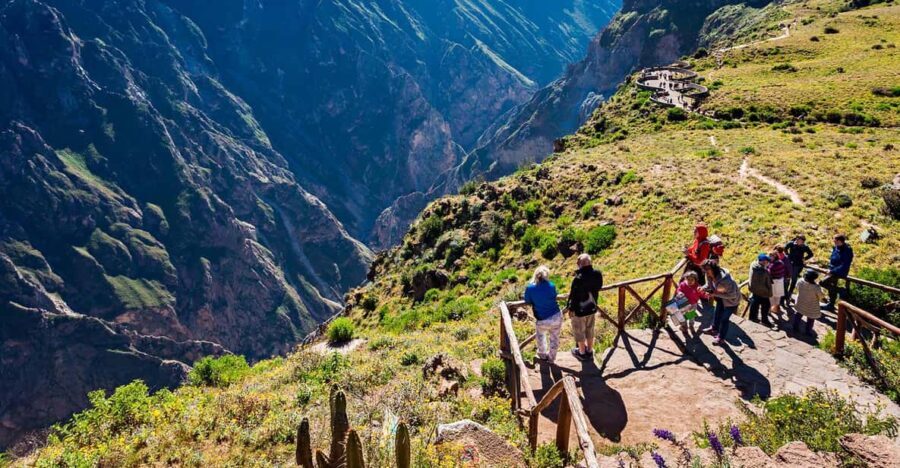 From Arequipa: Full Day Tour of Colca Canyon with Breakfast - Exploring the Colca Canyon Tour in Depth