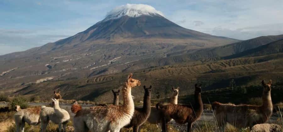 From Arequipa: Misti Volcano Trekking - 2 days - Exploring the Misti Volcano Trek in Detail