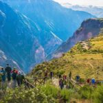 From Arequipa: Tour to Colca Canyon + Transfer to Cusco - Summary: Is It Worth It?